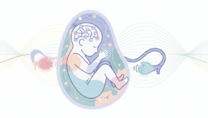 découvrez comment la dominance manuelle, droitier ou gaucher, peut se développer dès la grossesse et son impact sur le développement de l'enfant.